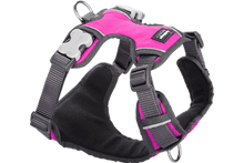 Load image into Gallery viewer, Red Dingo Hot Pink Padded Harness Small
