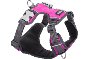 Red Dingo Hot Pink Padded Harness Small