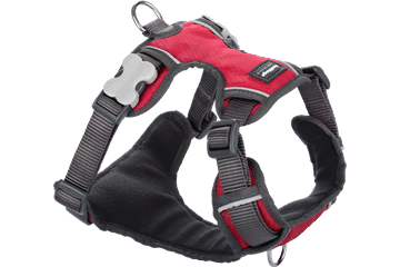 Red Dingo Red Padded Harness Small