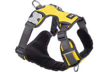 Load image into Gallery viewer, Red Dingo Yellow Padded Harness Medium
