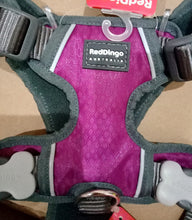 Load image into Gallery viewer, Red Dingo Purple Medium Padded Harness
