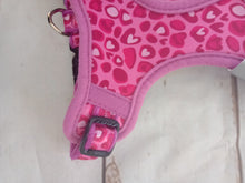 Load image into Gallery viewer, Rogz Small Dog Wild Heart Comfy Fashion Harness
