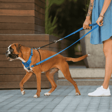 Load image into Gallery viewer, Rogz Stop-Pull Dog Harness Pink

