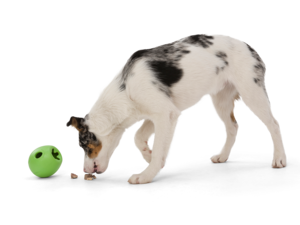 West Paw Rumbl Treat Dispensing Dog Enrichment Toy LARGE