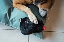 Load image into Gallery viewer, Dog playing with Dogs Life Black Cat 2 in 1 surprise toy. 
