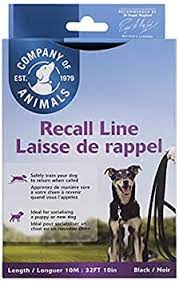 Company of Animals Dog Recall Line 10m