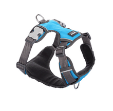 Load image into Gallery viewer, Red Dingo Turquoise Padded Harness Medium
