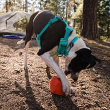 Load image into Gallery viewer, Ruffwear Gnawt-a-Rock Nuzzle Flop Treat Dispensing Dog Toy
